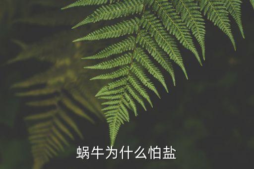 蜗牛为什么怕盐