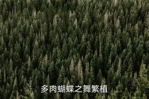 蝴蝶之舞，蝴蝶之舞怎么养 蝴蝶之舞多肉怎么繁殖