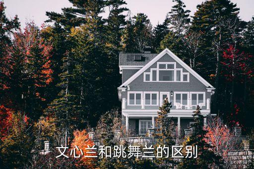 文心兰图片，文心兰的花语是什么意思