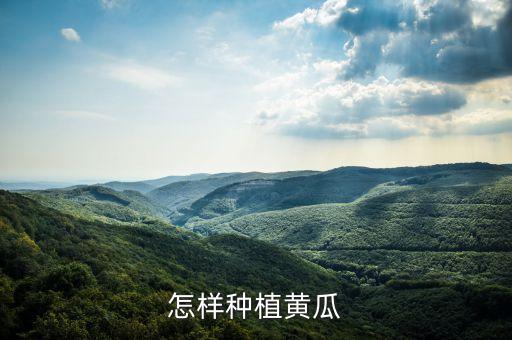 怎样种植黄瓜