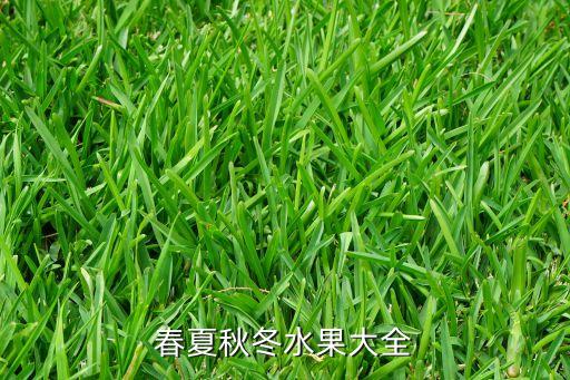 春夏秋冬水果大全