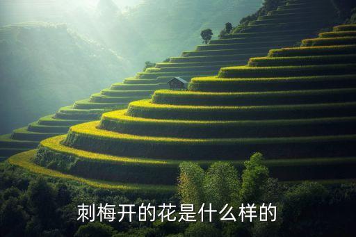 刺梅开的花是什么样的