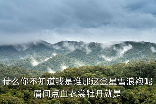什么你不知道我是谁那这金星雪浪袍呢眉间点血衣裳牡丹就是