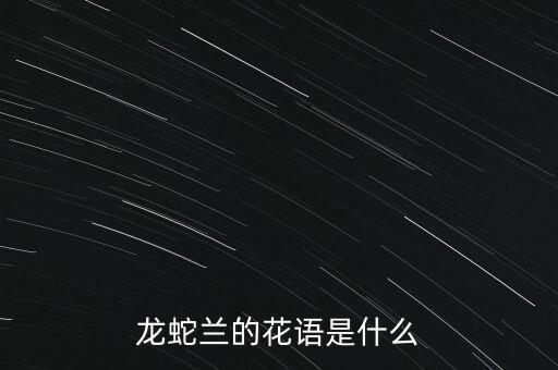 龙蛇兰的花语是什么