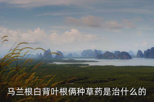 白背叶根，野桐根和白背叶根是不是同一种药草