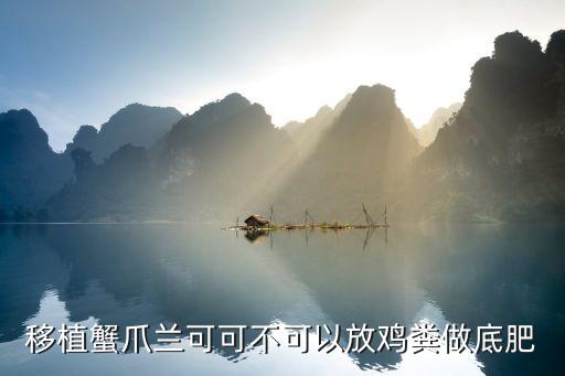 移植蟹爪兰可可不可以放鸡粪做底肥