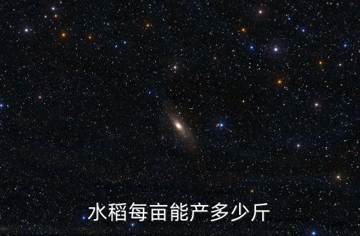 水稻每亩能产多少斤