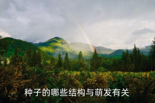 种子的哪些结构与萌发有关