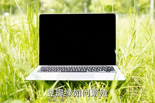 豆瓣绿的扦插方法，豆瓣绿如何繁殖