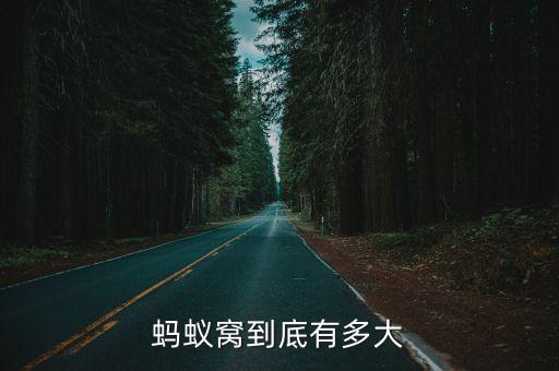 蚂蚁窝到底有多大