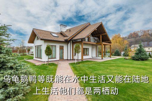 鸭子是两栖动物吗，乌龟鹅鸭等既能在水中生活又能在陆地上生活他们都是两栖动