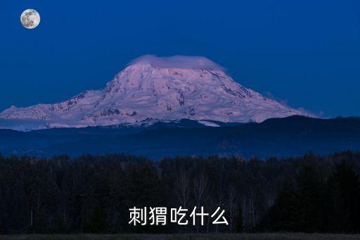 刺猬吃什么东西，刺猬吃什么