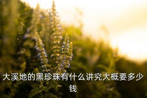 大溪地的黑珍珠有什么讲究大概要多少钱