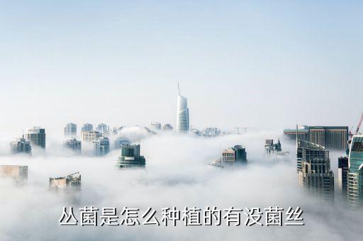 丛菌是怎么种植的有没菌丝