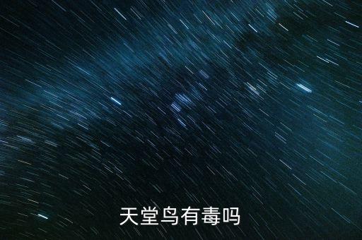 小天堂鸟，天堂鸟有毒吗