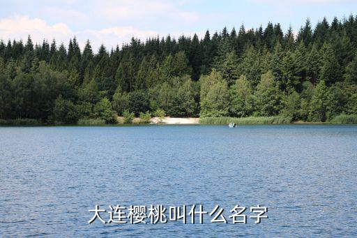 大连大樱桃，大连大樱桃为什么好吃