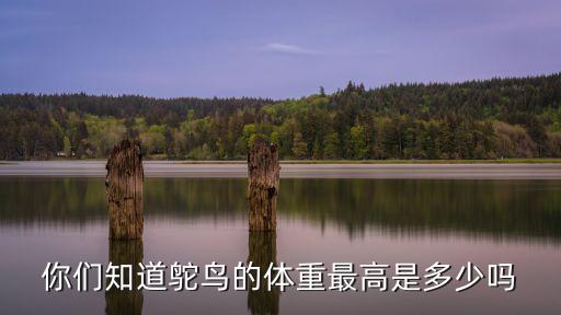 鸵鸟能长多少斤，1只成年鸵鸟是否是180公斤