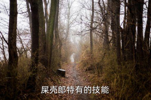粪金龟的本领，屎壳郎特有的技能
