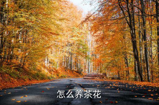 怎么养茶花