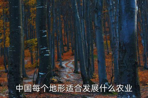 中国每个地形适合发展什么农业