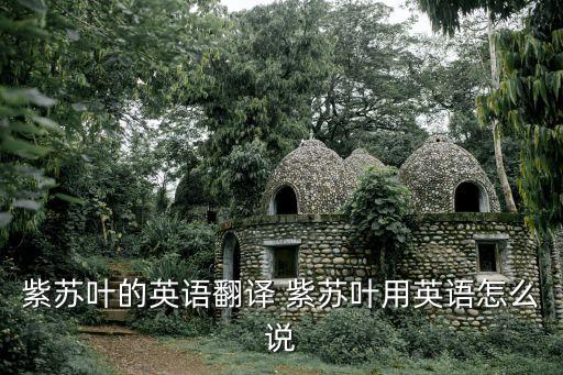 perilla，请问perrilla 是什么意思