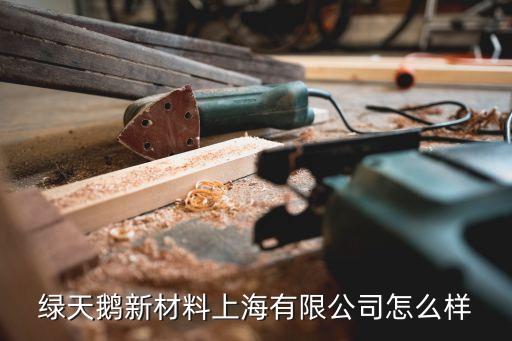 绿天鹅新材料上海有限公司怎么样