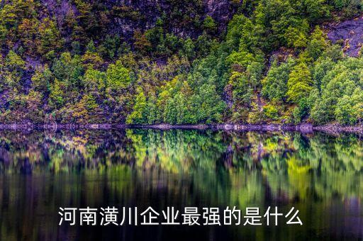 潢川农都农业怎么样，河南潢川企业最强的是什么