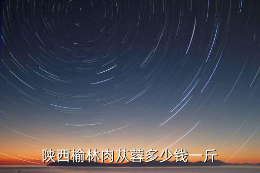 肉苁蓉价格，陕西榆林肉苁蓉多少钱一斤