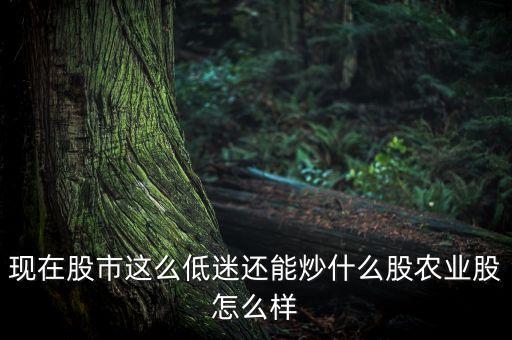 现在股市这么低迷还能炒什么股农业股怎么样