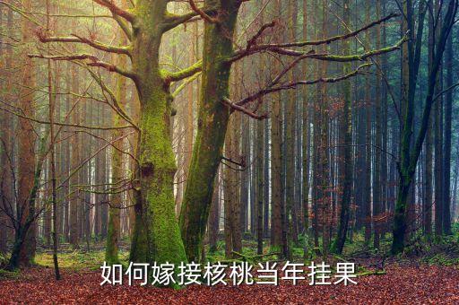 如何嫁接核桃当年挂果