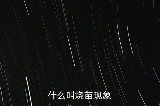 什么叫烧苗现象