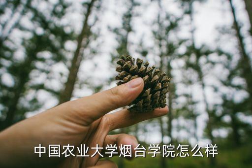 中国农业大学烟台学院怎么样