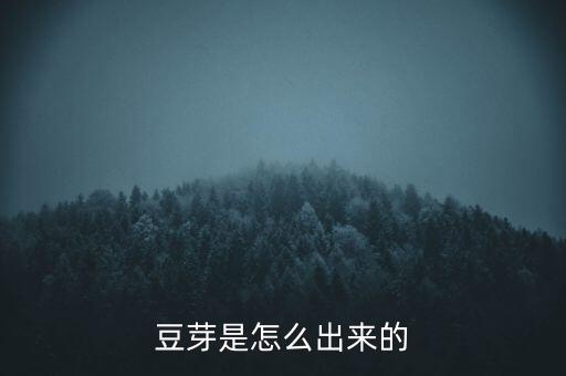 豆芽的生长过程，豆芽的生长过程
