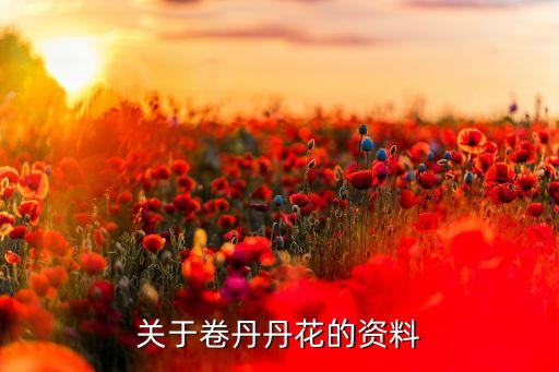 关于卷丹丹花的资料