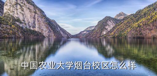 山东烟台农业怎么样啊，中国农业大学烟台校区怎么样