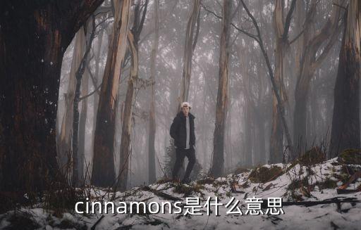 cinnamons是什么意思