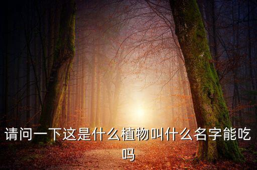 请问一下这是什么植物叫什么名字能吃吗
