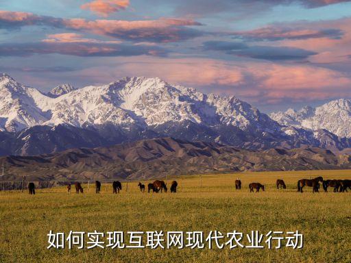 如何实现互联网现代农业行动