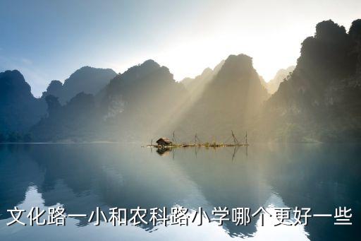 文化路一小和农科路小学哪个更好一些