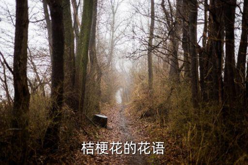 桔梗花的花语