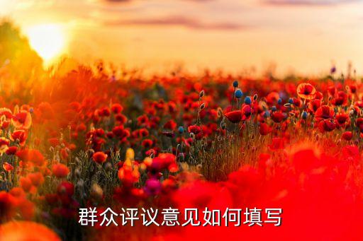 群众评议意见如何填写