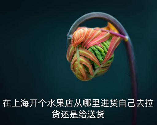 在上海开个水果店从哪里进货自己去拉货还是给送货