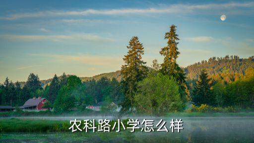 农科路小学怎么样