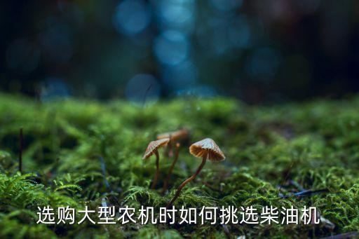 选购大型农机时如何挑选柴油机