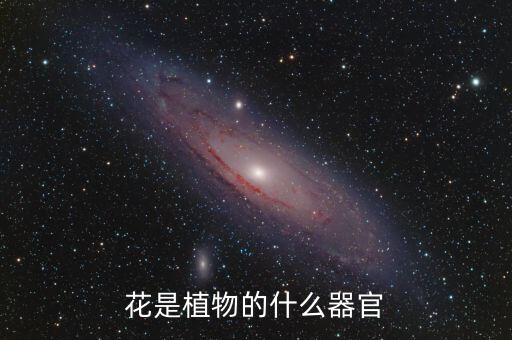 花是植物的什么器官，花是被子植物的器官花由和组成其中花萼和花瓣构
