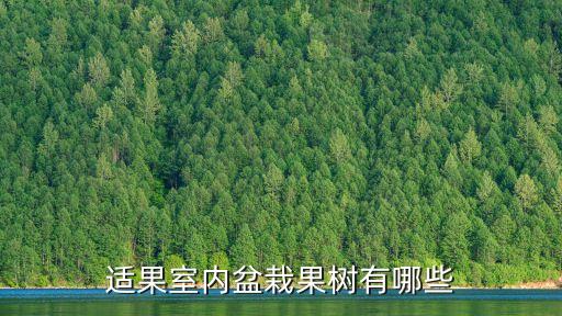 适果室内盆栽果树有哪些