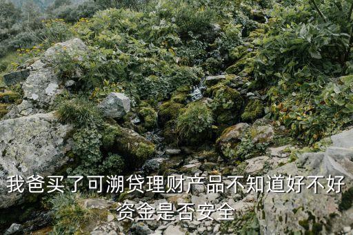 智慧农业怎么用不了了，我爸买了可溯贷理财产品不知道好不好资金是否安全
