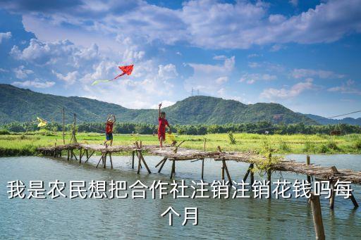 我是农民想把合作社注销注销花钱吗每个月