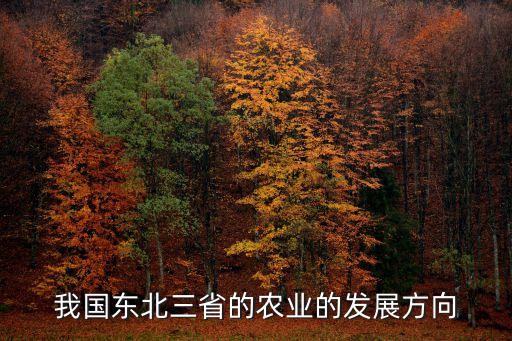 未来东北农民怎么发展农业，我国东北三省的农业的发展方向