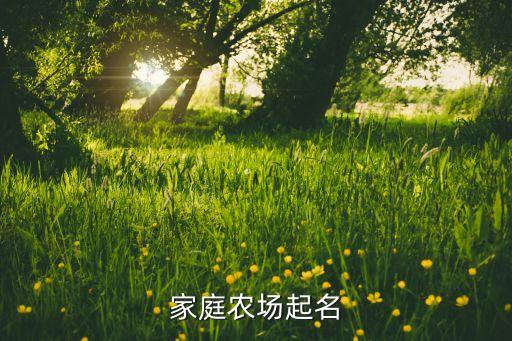 农业软件名称推荐怎么写，农业种植业用什么财务软件